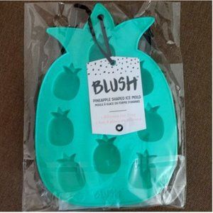 NWT Blush pineapple silicone shaped ice mold